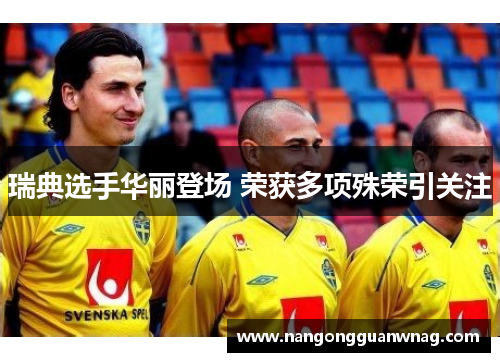 瑞典选手华丽登场 荣获多项殊荣引关注