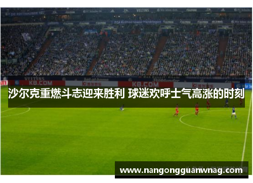 沙尔克重燃斗志迎来胜利 球迷欢呼士气高涨的时刻