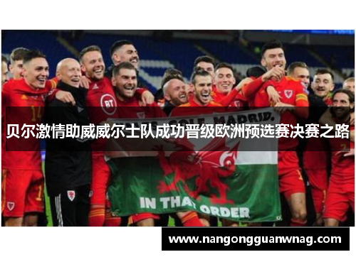 贝尔激情助威威尔士队成功晋级欧洲预选赛决赛之路