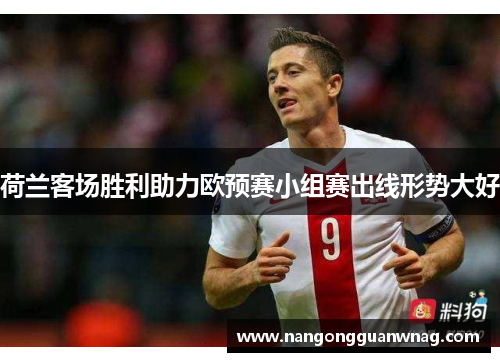 荷兰客场胜利助力欧预赛小组赛出线形势大好
