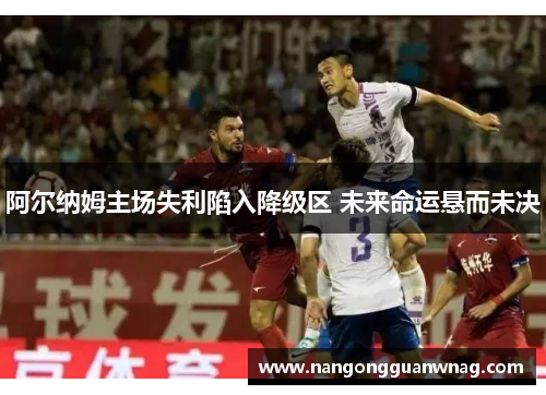 阿尔纳姆主场失利陷入降级区 未来命运悬而未决