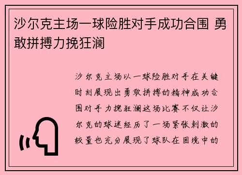 沙尔克主场一球险胜对手成功合围 勇敢拼搏力挽狂澜