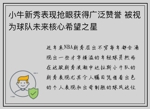 小牛新秀表现抢眼获得广泛赞誉 被视为球队未来核心希望之星